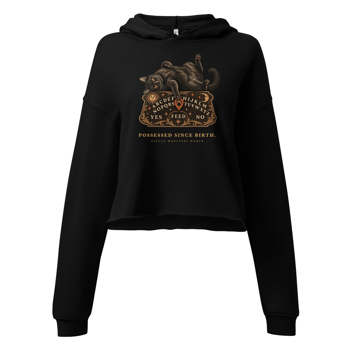 Possessed Since Birth Cropped Hoodie in black, front view
