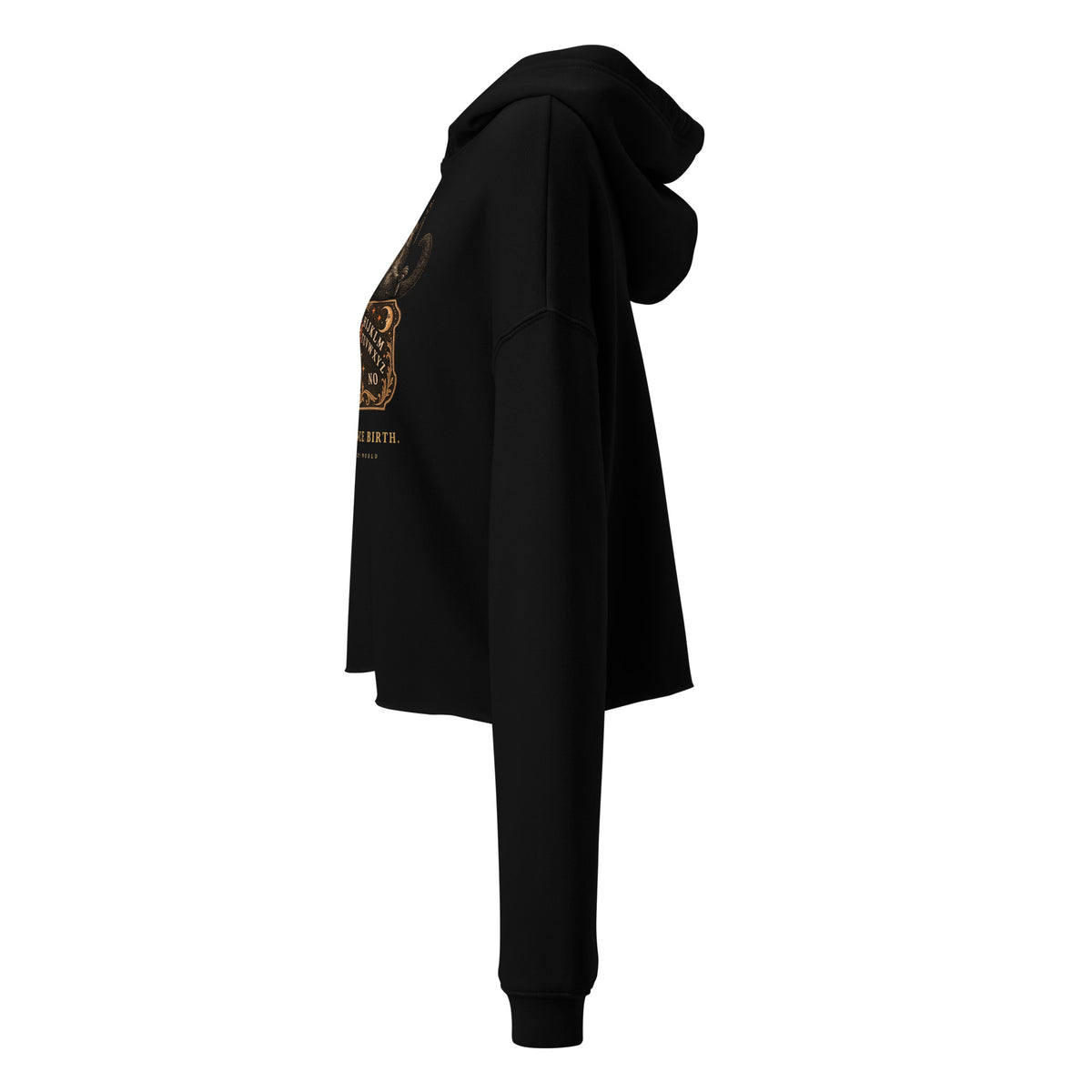 Possessed Since Birth Cropped Hoodie in black, left side view
