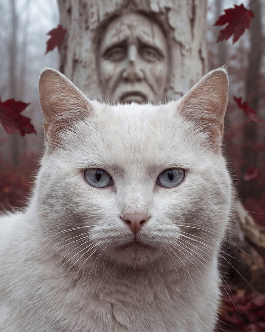 The Elder Root