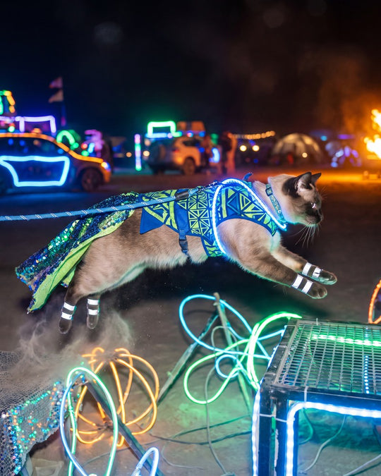 Laser Acrobat