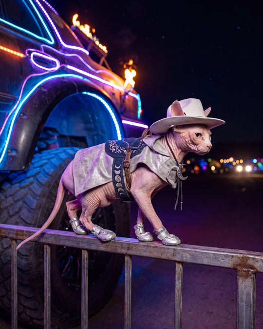 Lunar Cowboy