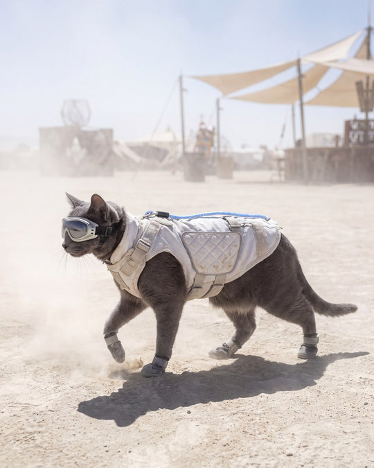 Whiteout Nomad